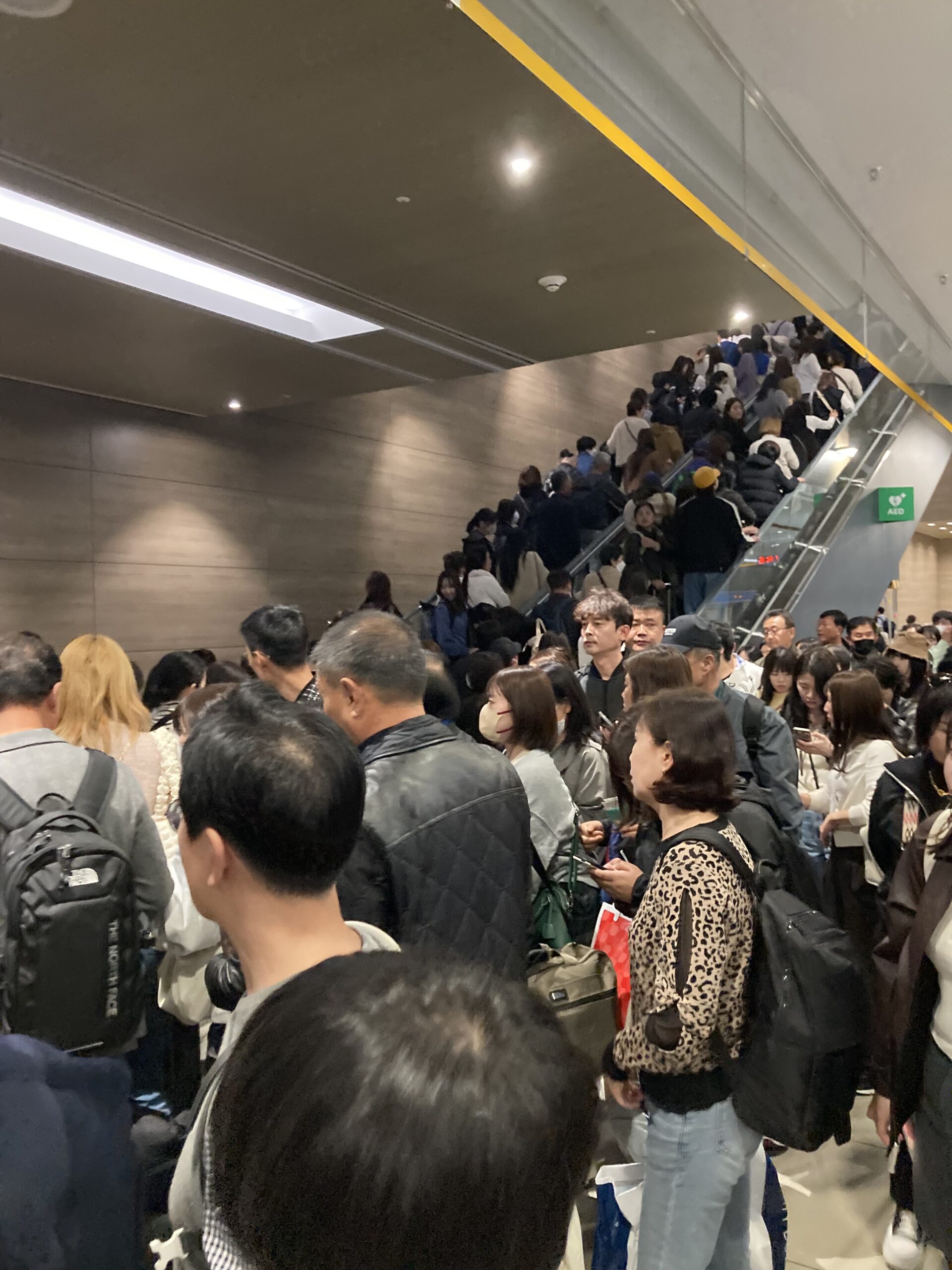航空券が高くなる時期を避けよう